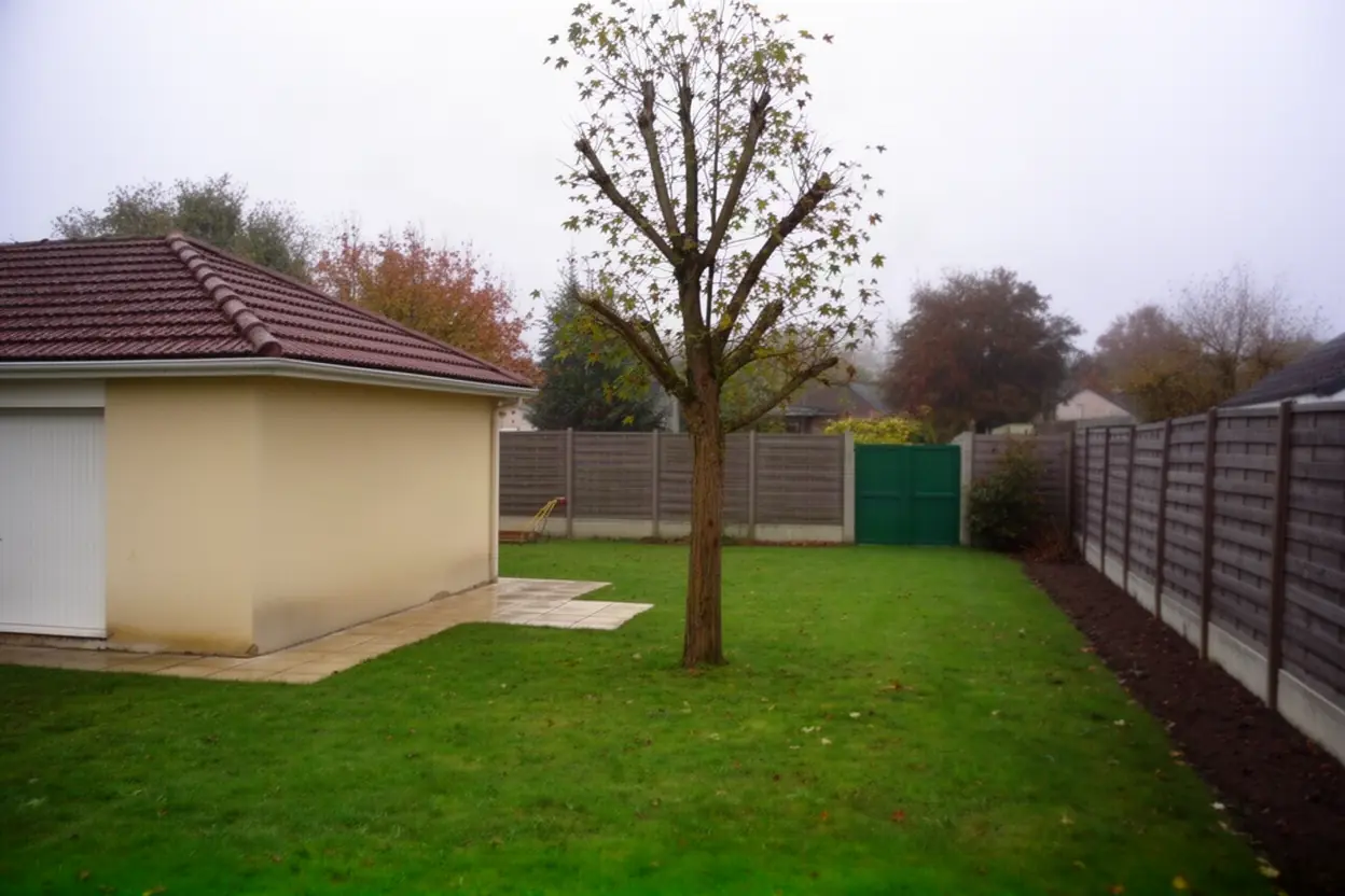 Arbre fragilisé près d'une clôture à Saint-Jean-le-Blanc