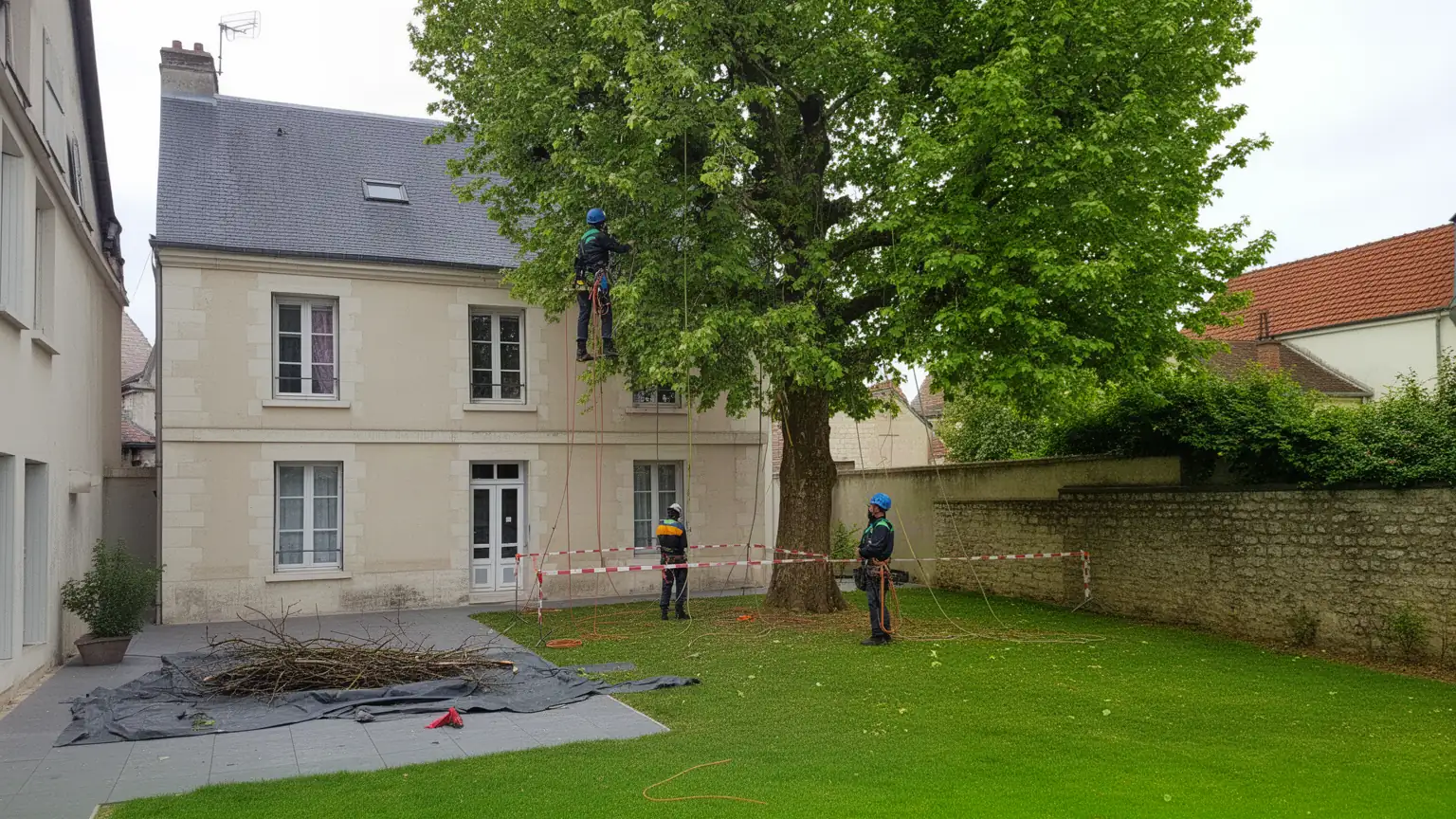 Élagage et Abattage d'arbres à Orléans : Votre Arboriste Grimpeur